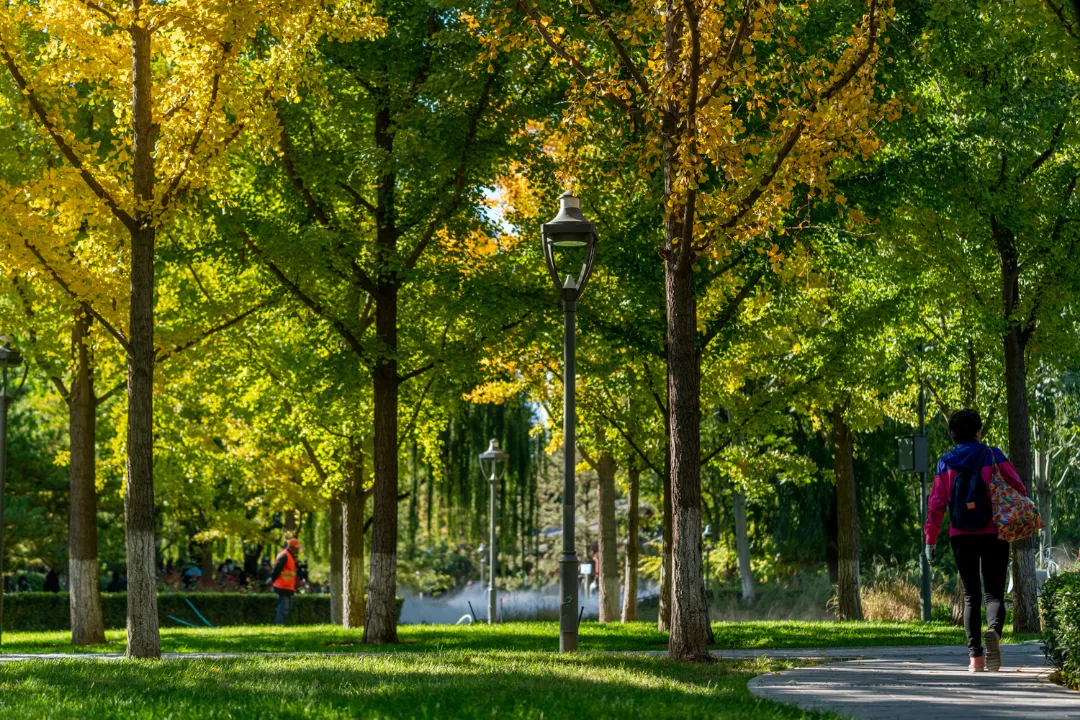 多图实拍！地坛园外园重装开园，打造全龄友好社区公园