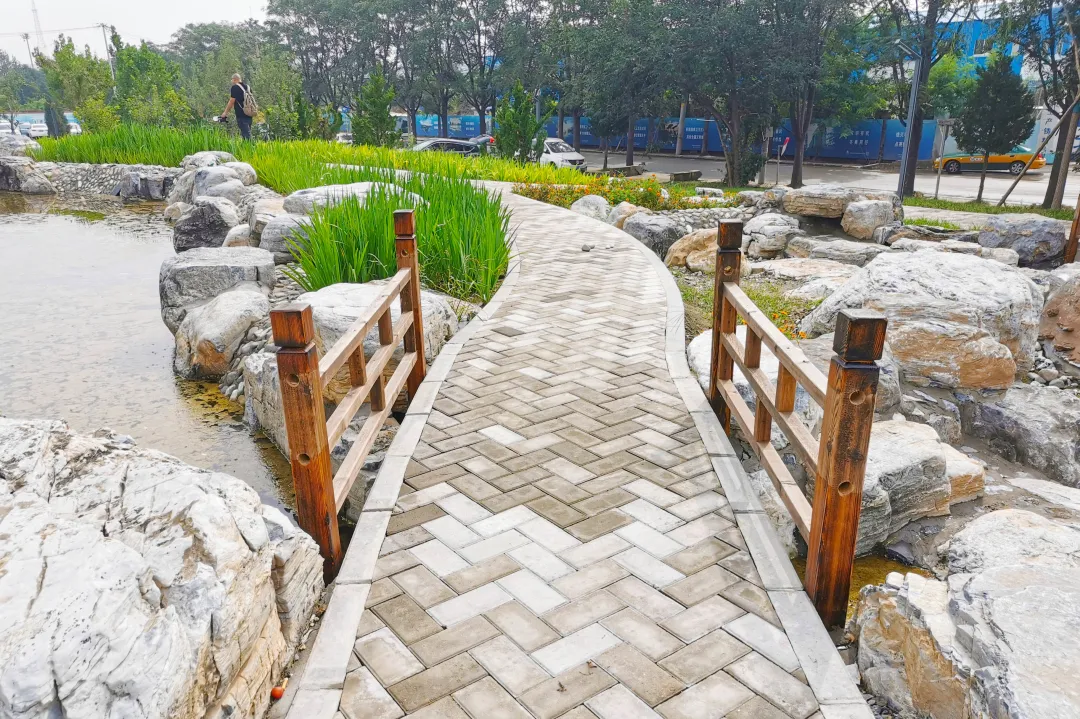 就在明天！衙门口城市森林公园正式开园！又多一个好去处~