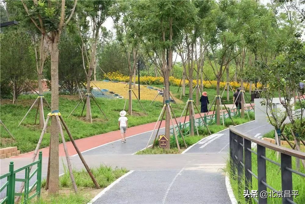 让青山常在，绿水长流，空气常新～