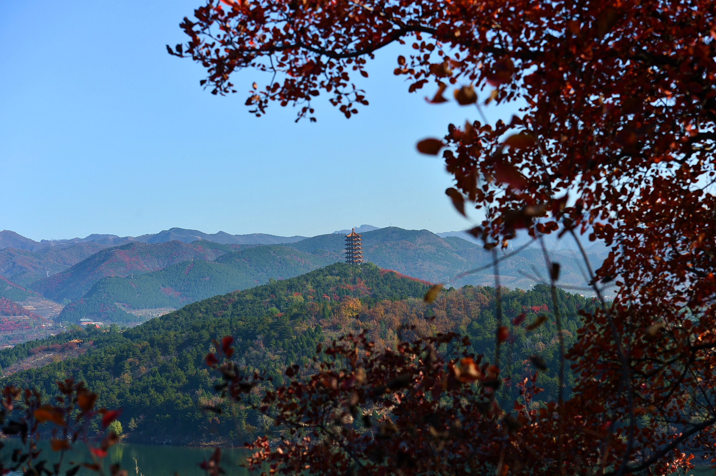 金海湖晚秋 水岸红叶风景独好