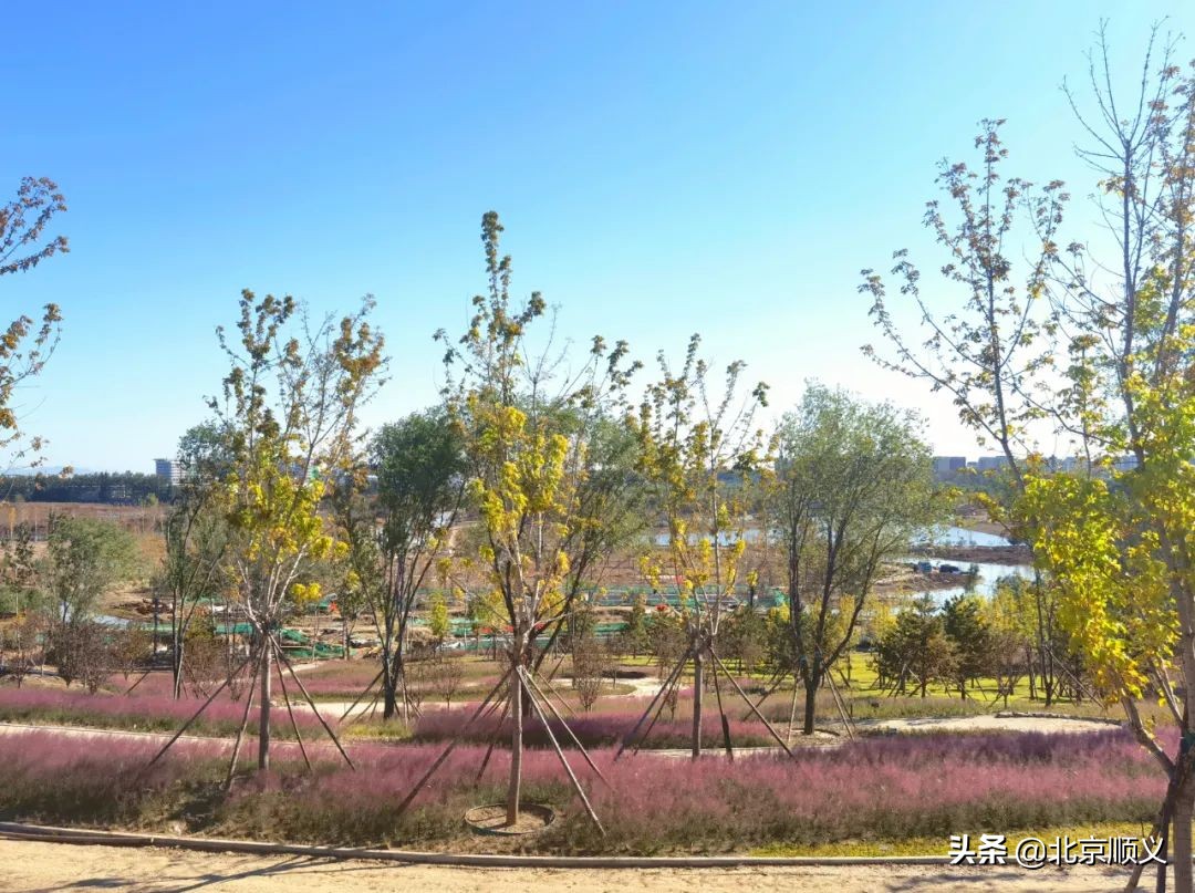 五月迎客！温榆河公园顺义一期即将开园~
