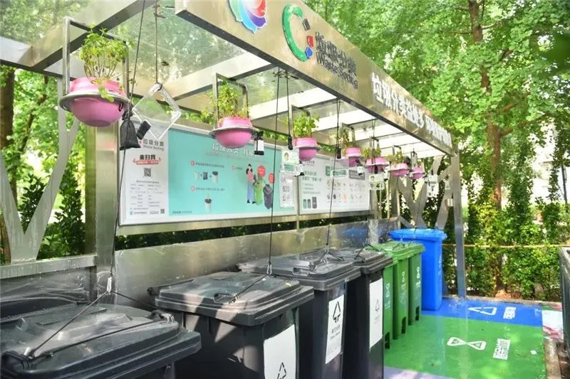 垃圾分类一周年，来看看东城区的亮眼“成绩单”！