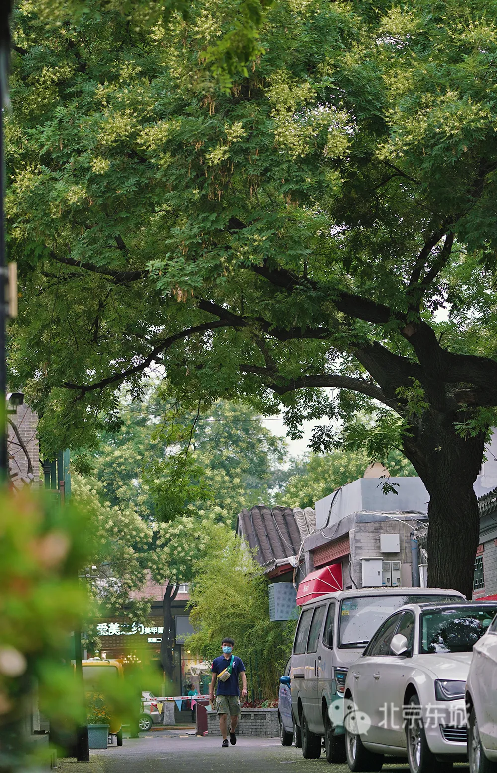 创建全国文明城区，让城市有温度！