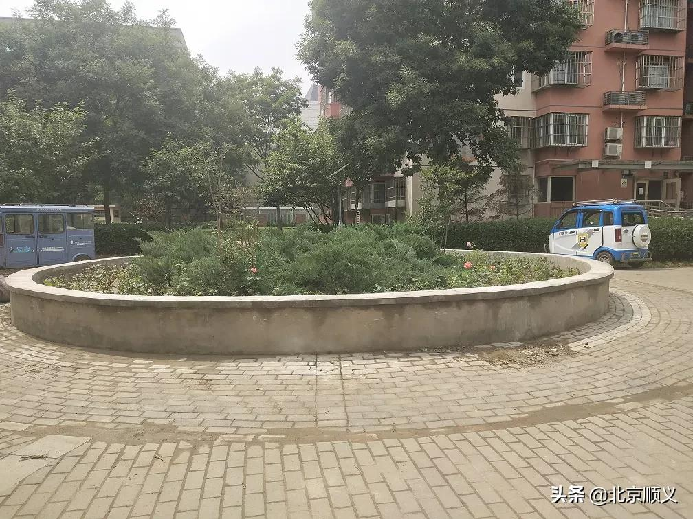 【创城有我】创文明城区，建美好家园，空港街道中粮祥云社区全力助创城~