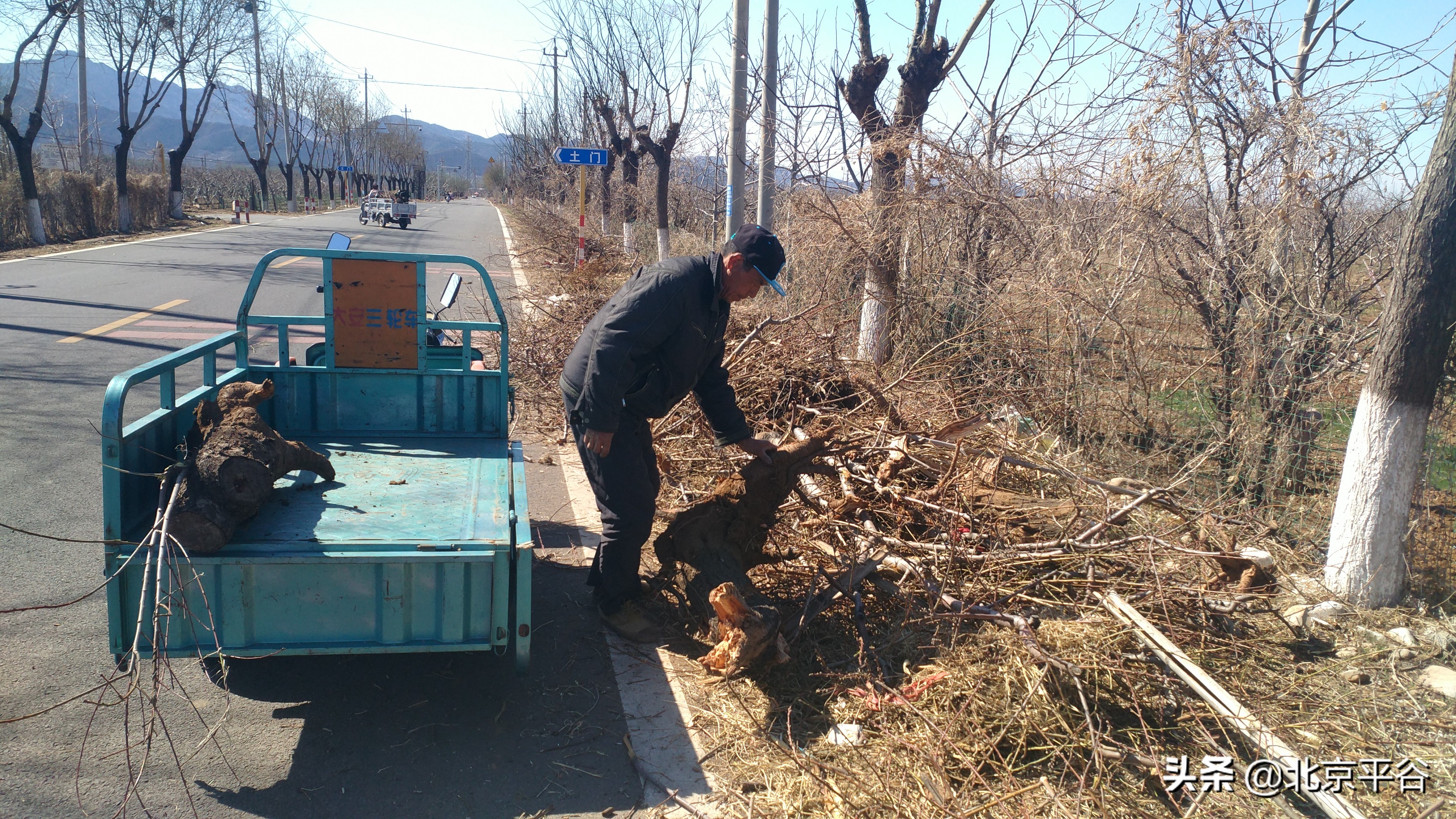 平谷金海湖镇三级联动清“四边”整治提升乡村环境