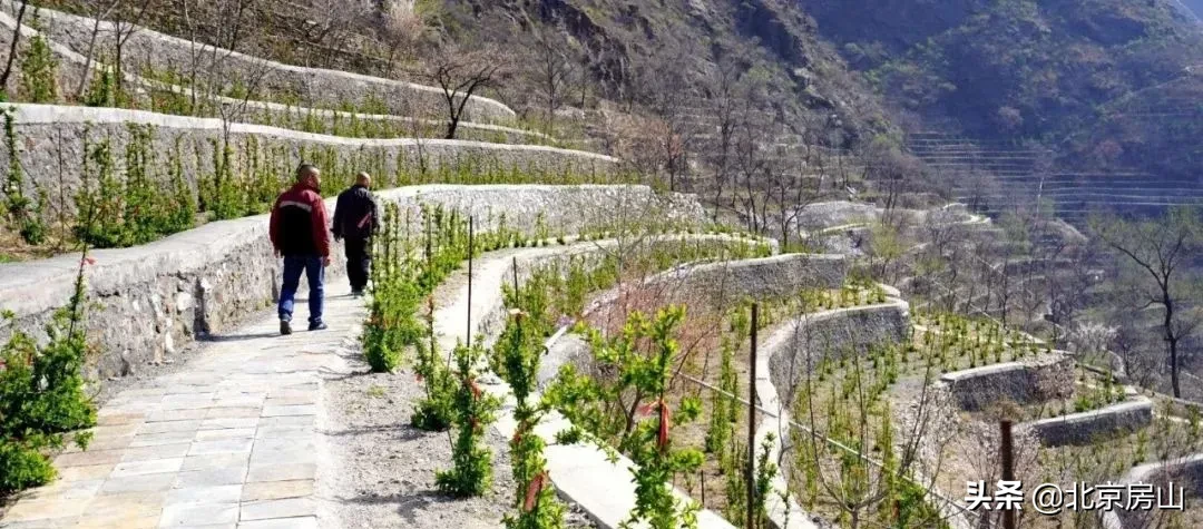 档案见证小康路，回顾房山脱低攻坚路上的光辉事迹！