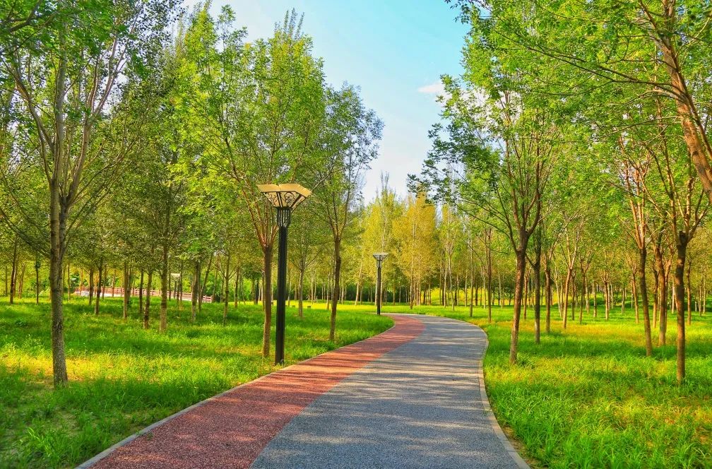 点开，带你看朝阳这五年