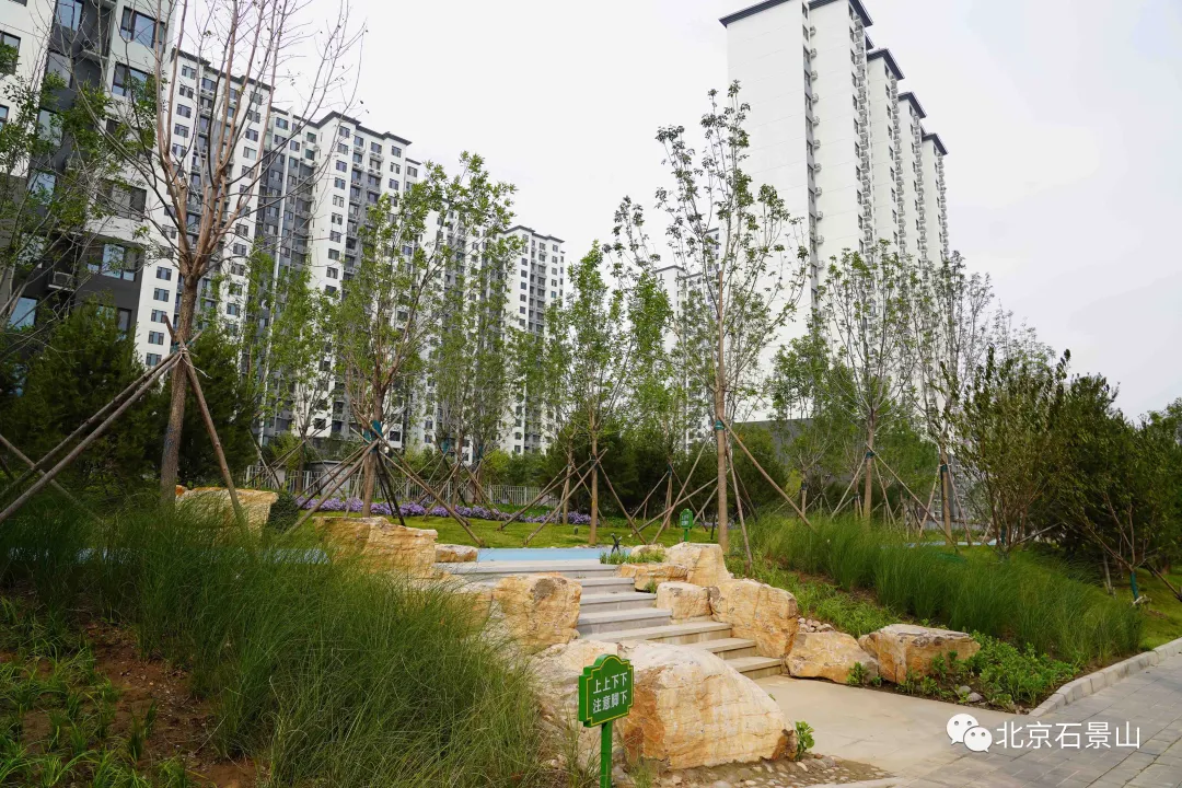 开窗见景、出门见绿！阜石路沿线绿化景观精美亮相！