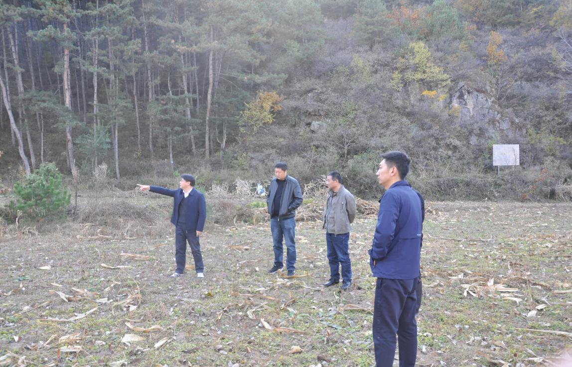 新城子镇扎实开展防火安全检查工作