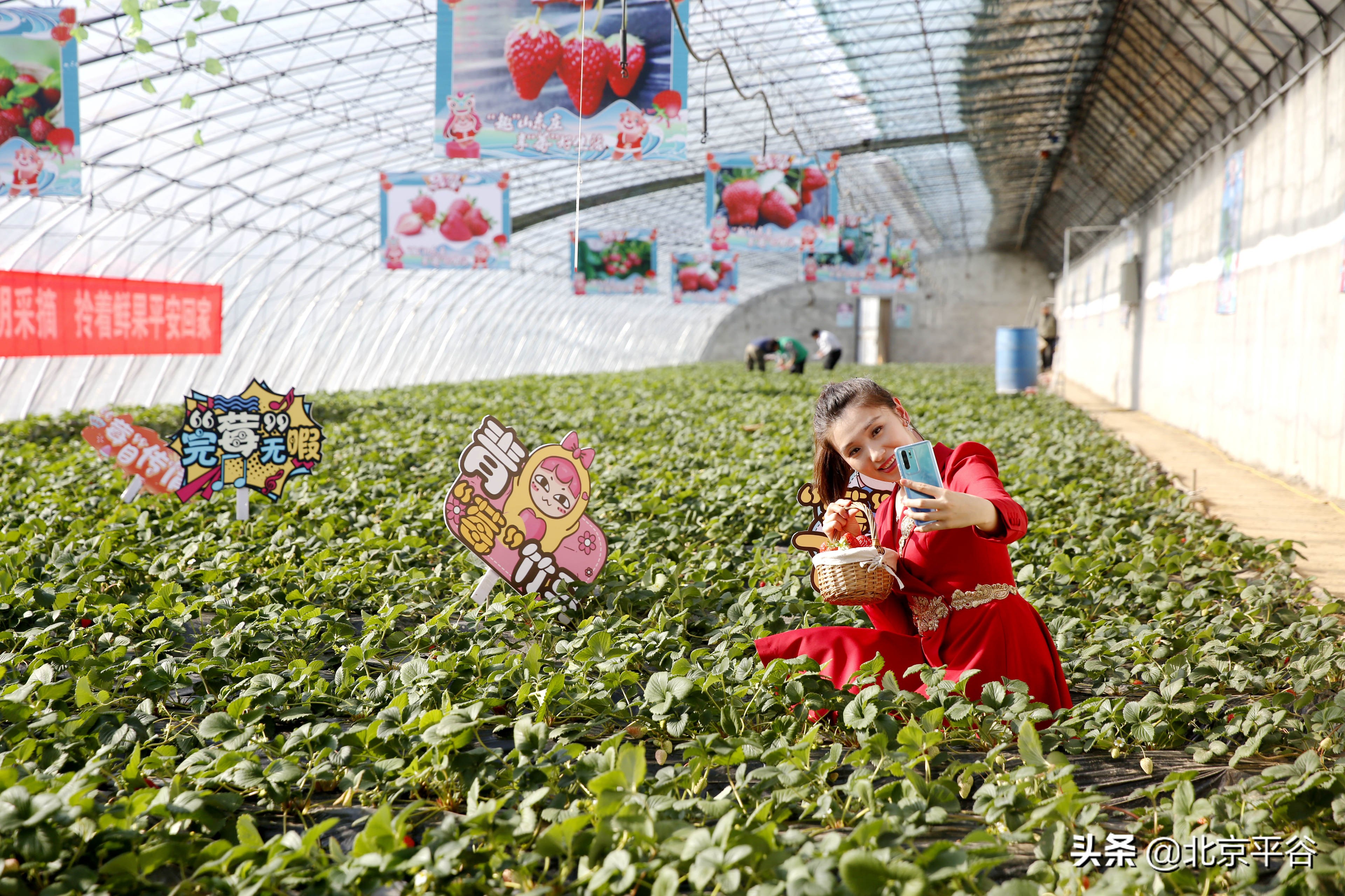 在京平安过大年 “慢”游平谷山东庄