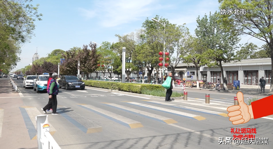 一探究竟！为何礼让斑马线成为延庆交通文明新风尚？