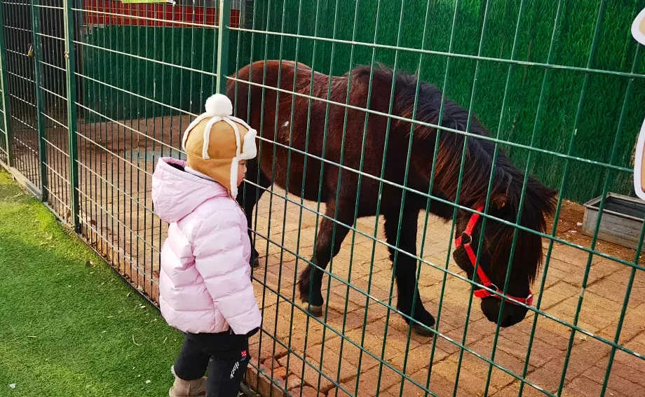 圆梦庆冬奥 正月游丰台——2022丰台正月文化旅游系列活动