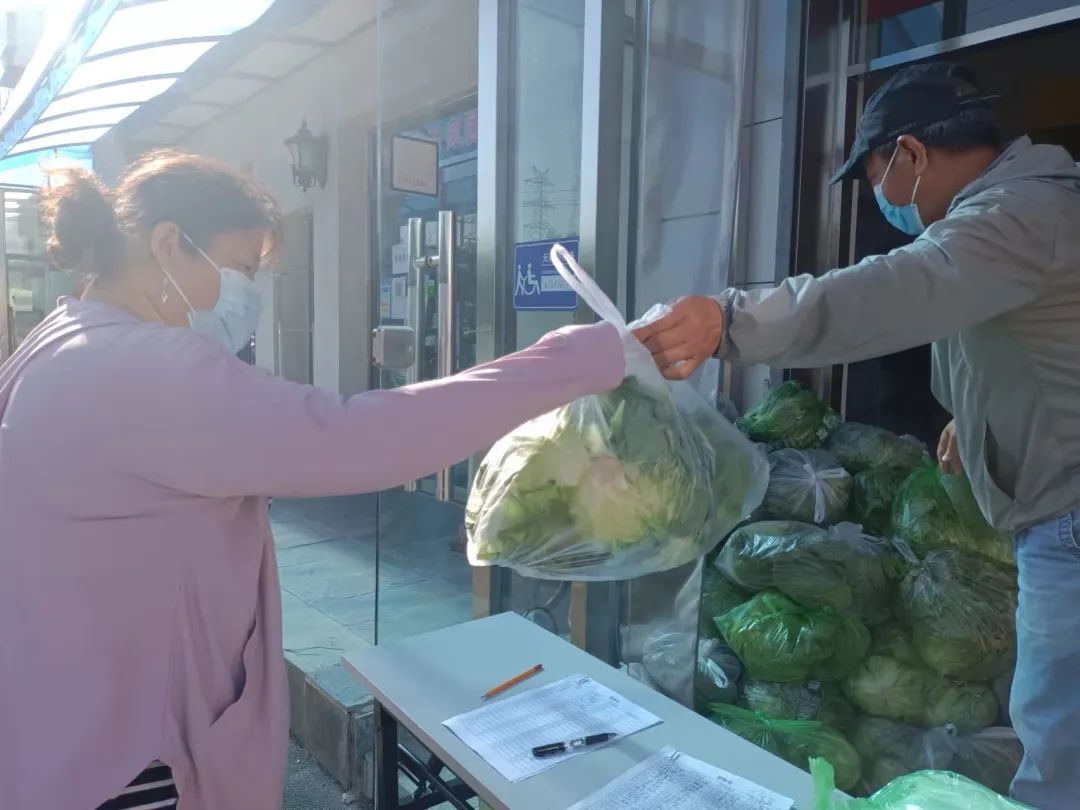 一车家“蔬”抵万金！3500多颗居民自种生菜免费送到社区