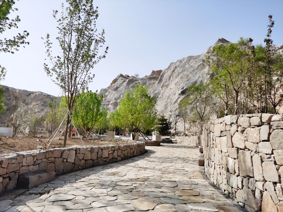 河东涌动发展潮