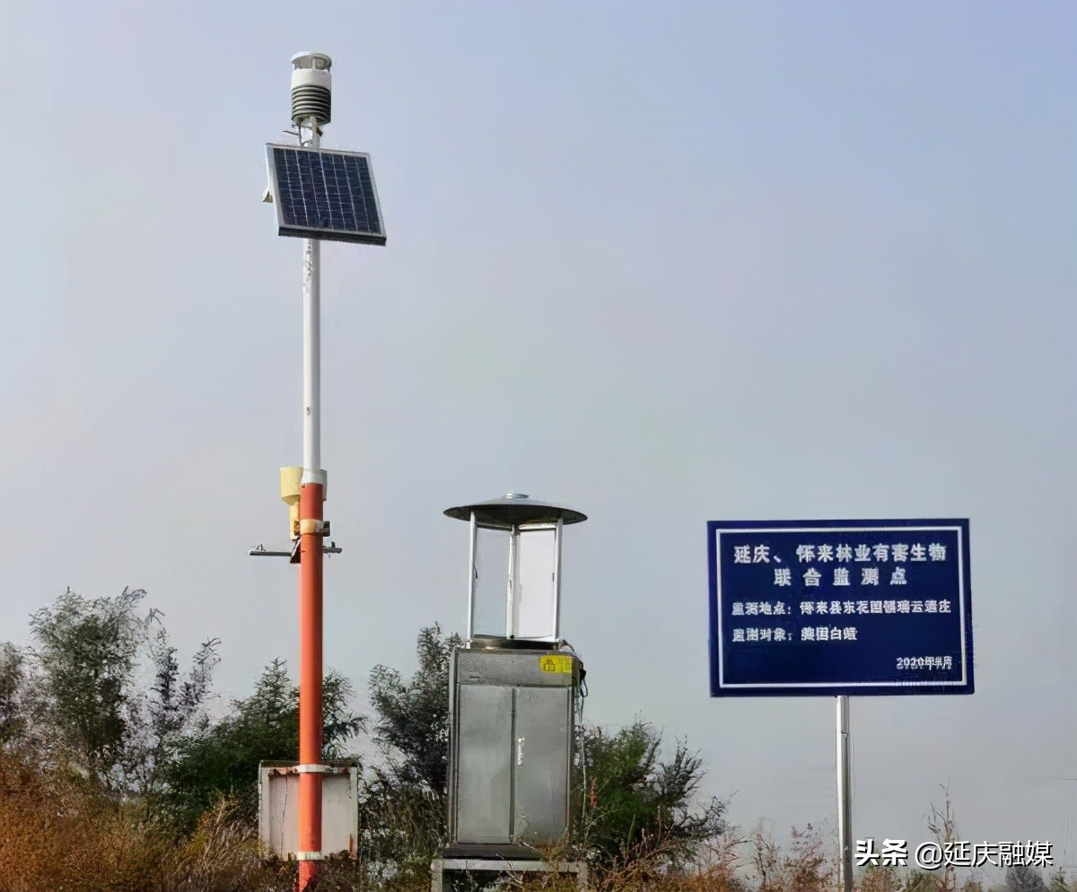 全力呈现壮美、安全、高品质绿色的冬奥赛区延庆在行动！