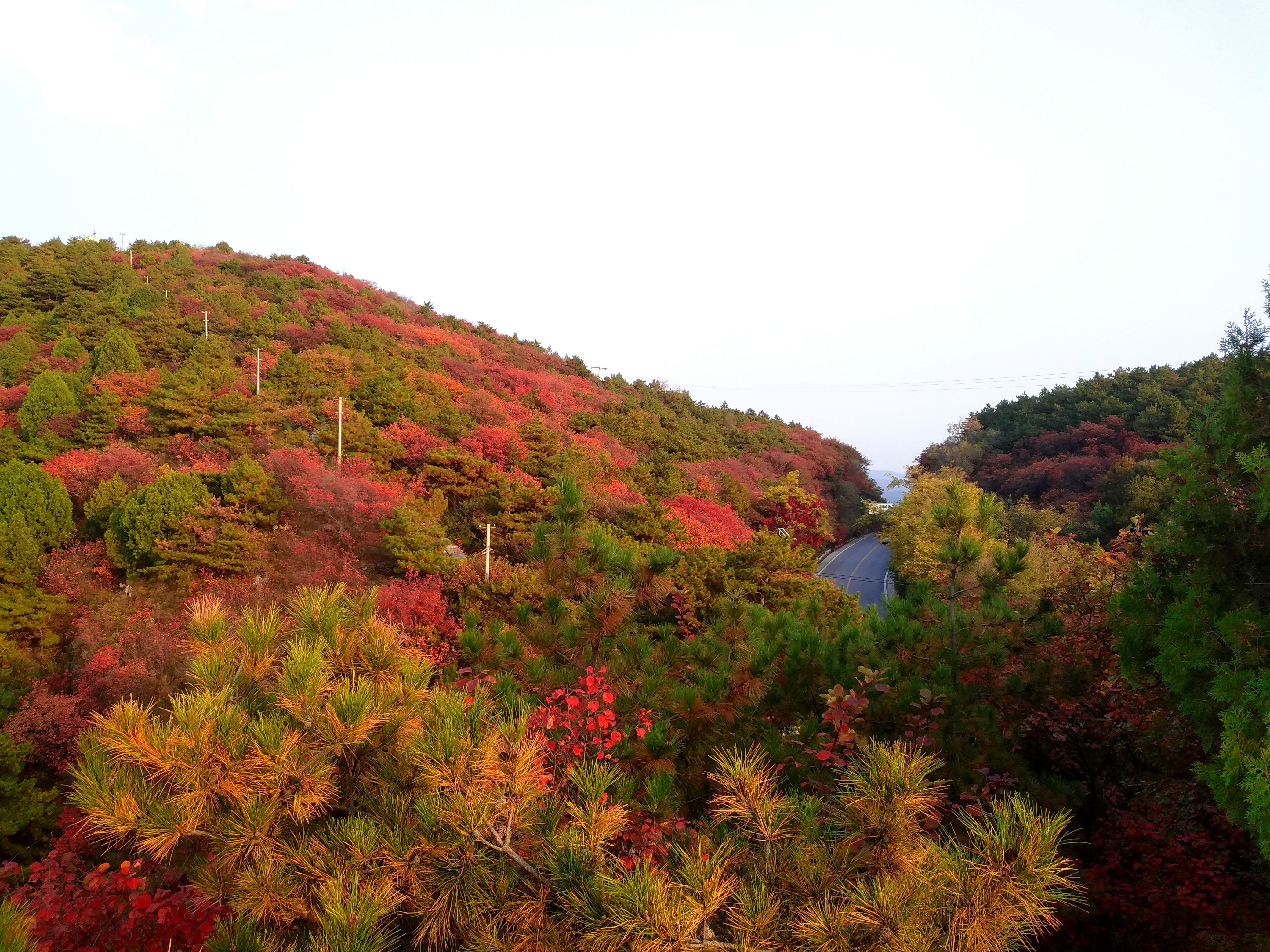 金海湖晚秋 水岸红叶风景独好