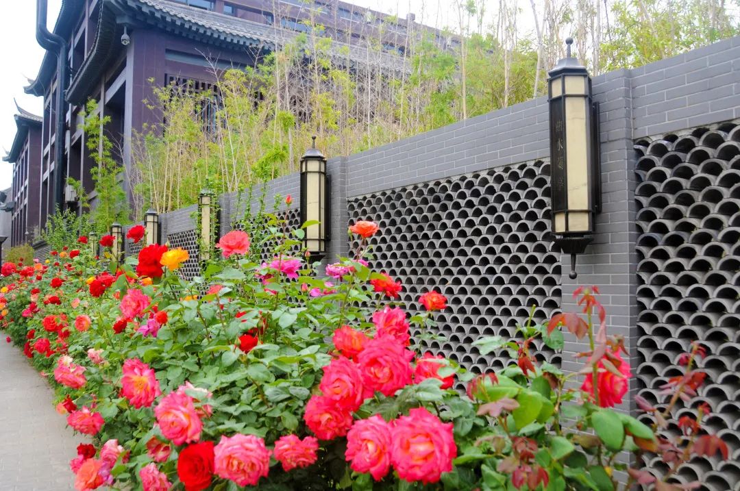 点开，带你看朝阳这五年