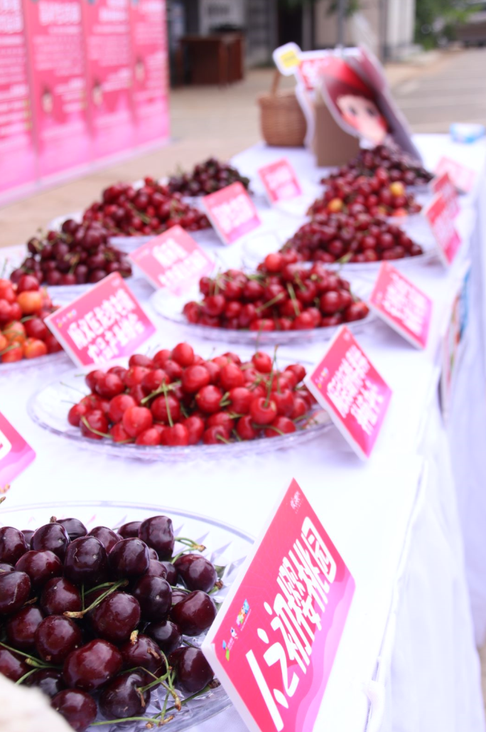 “云”赏好物，“云”上采摘，第七届北京顺义樱桃旅游采摘文化节云推介精彩呈现