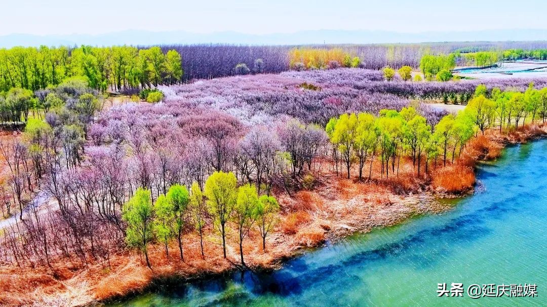 蓝天绿水映延庆 盎然春色入画来~