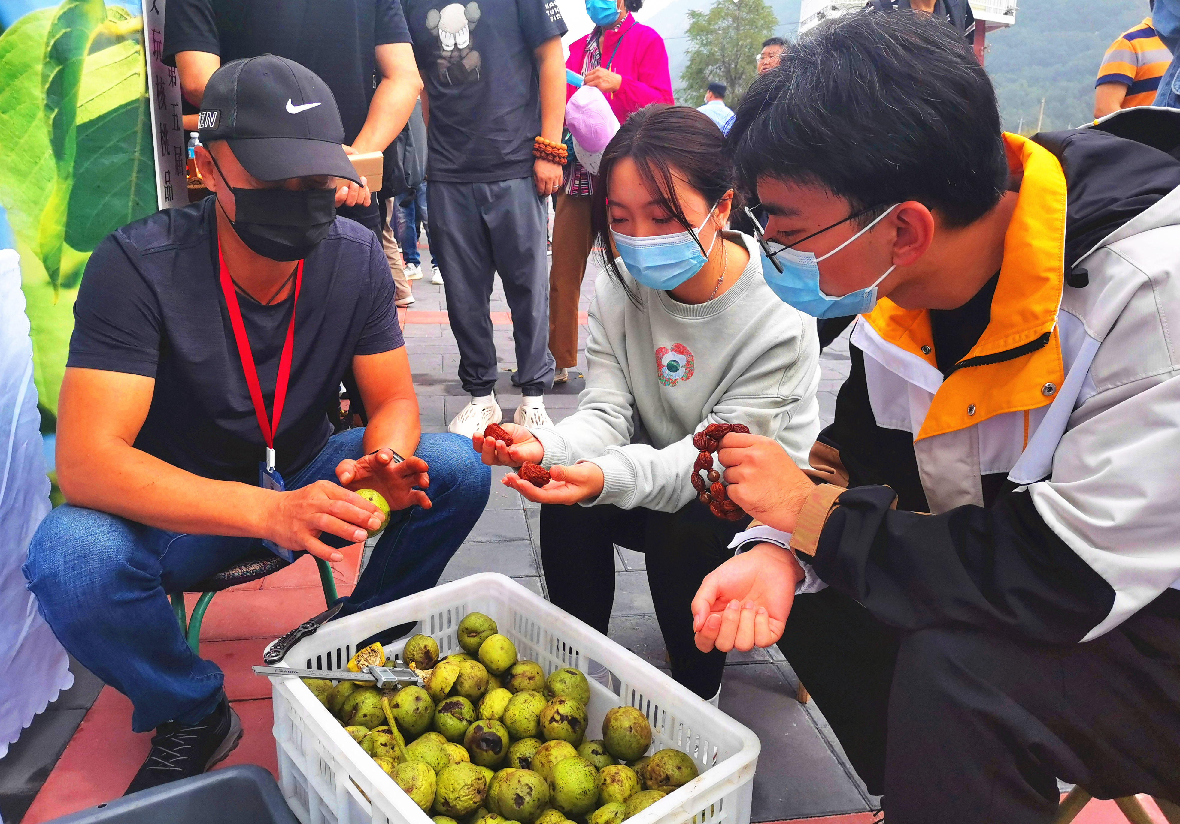 平谷区举办第五届“四座楼”文玩核桃品鉴季