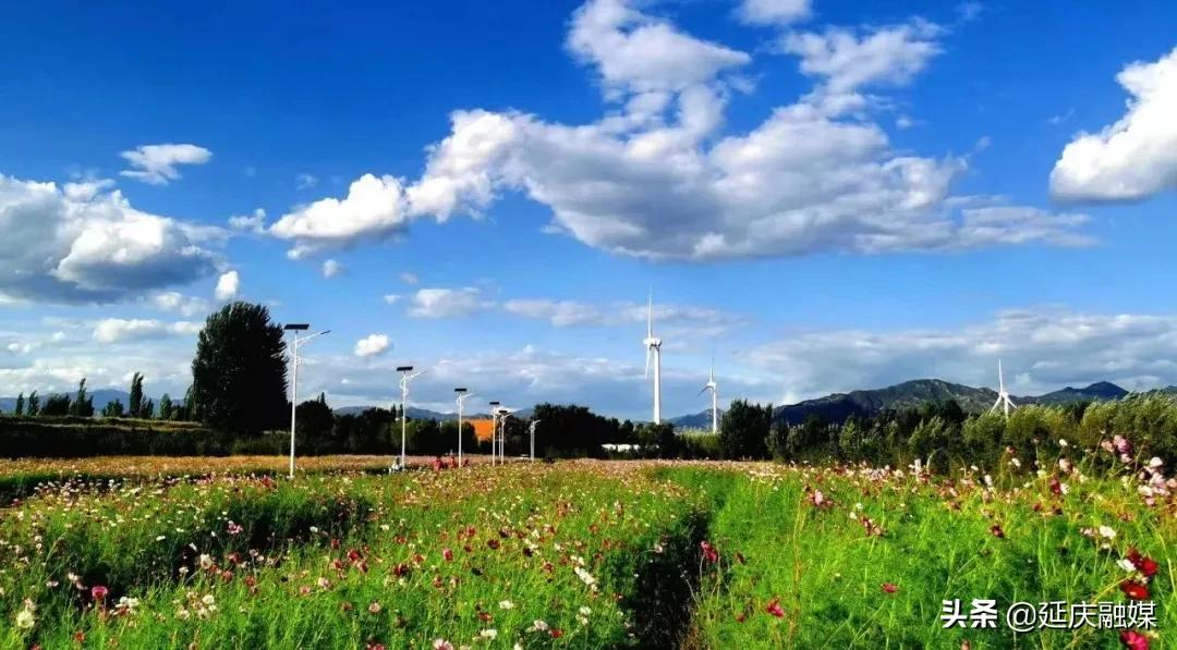 从帮扶到协同发展，延庆帮扶干部高翔：肩上有责任，心中有信念！