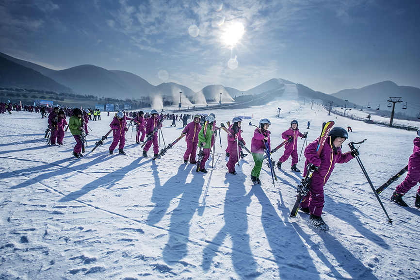 平谷区东高村镇第九届欧李节开幕 高钙欧李采摘正当时