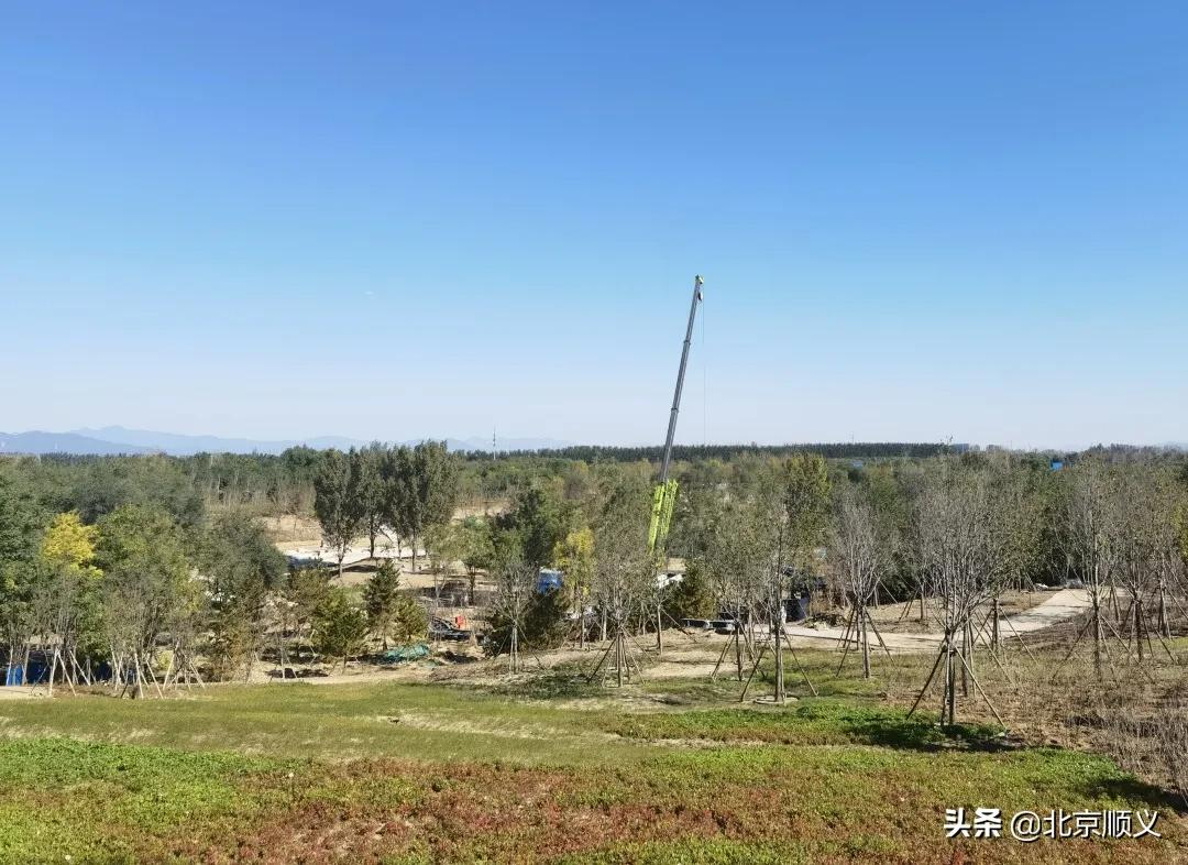 年底完工！温榆河公园顺义一期将打造“蓝绿交织、古今交融”的生态休闲空间~