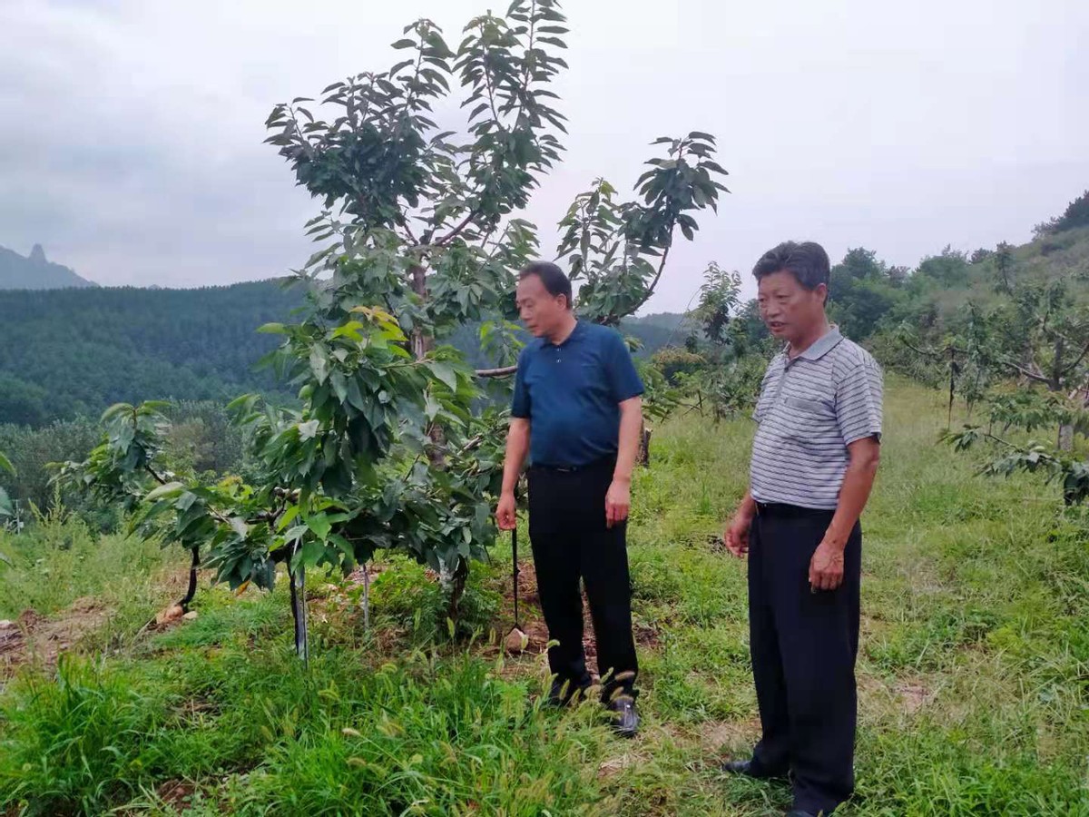 密云区新城子镇与首农食品集团南郊农场开展帮扶对接工作