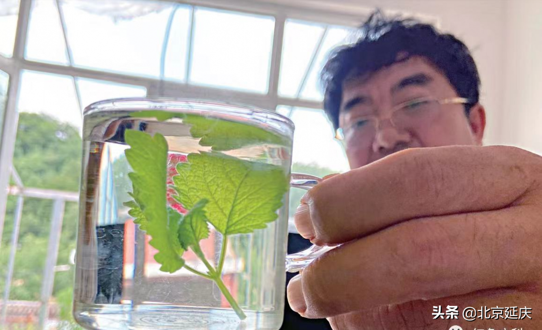 坚持生态保护和绿色发展 延庆全力以赴建设最美冬奥城