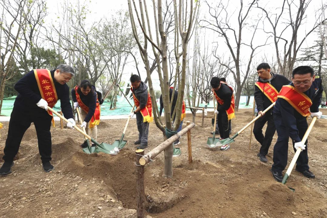 北京游乐园改建为龙潭中湖公园，今年7月1日向市民开放