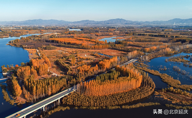延庆高质量绿色发展见成效，金秋15万亩盛景美不胜收