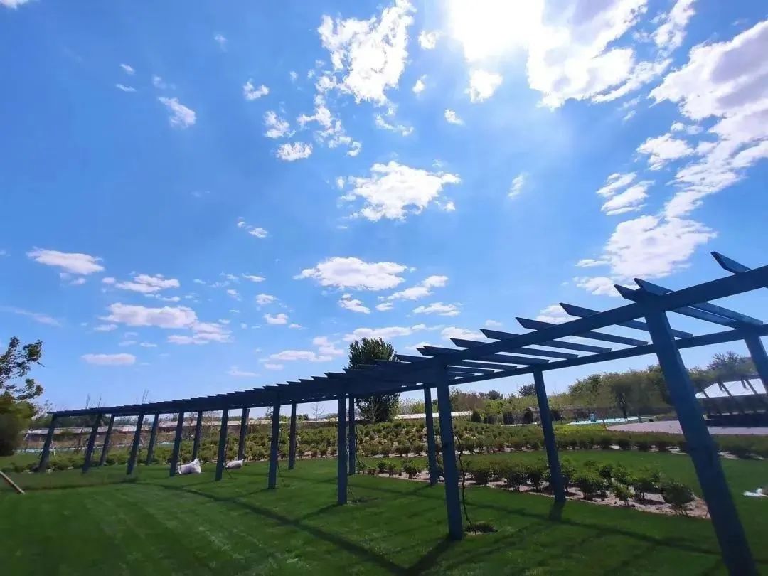 这个蔬艺园，成为推动村庄产业发展的新亮点