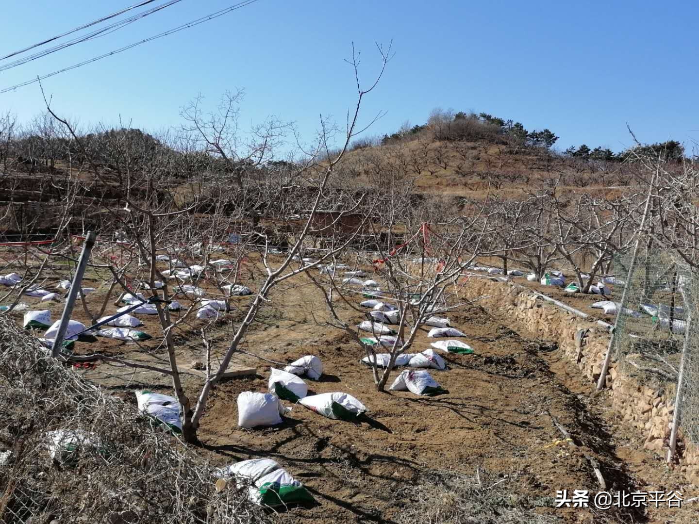 平谷山乡开通“春耕服务热线”保生产