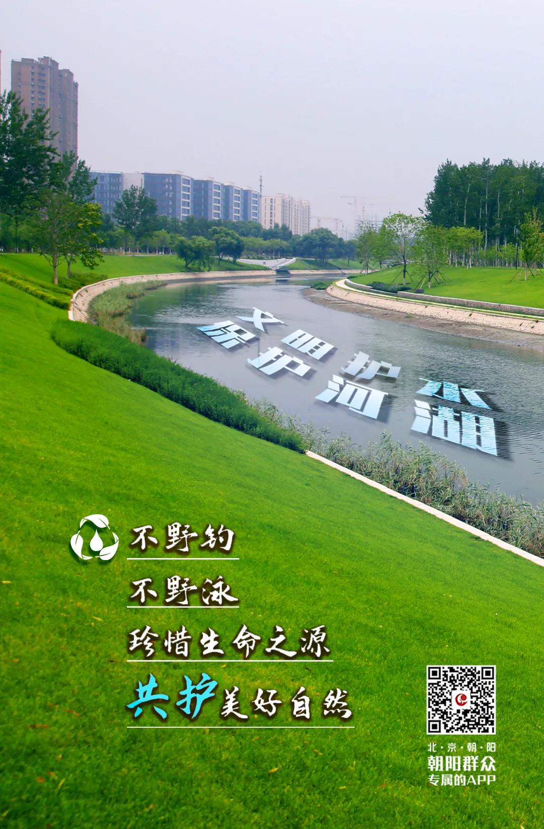 朝阳群众的文明行动