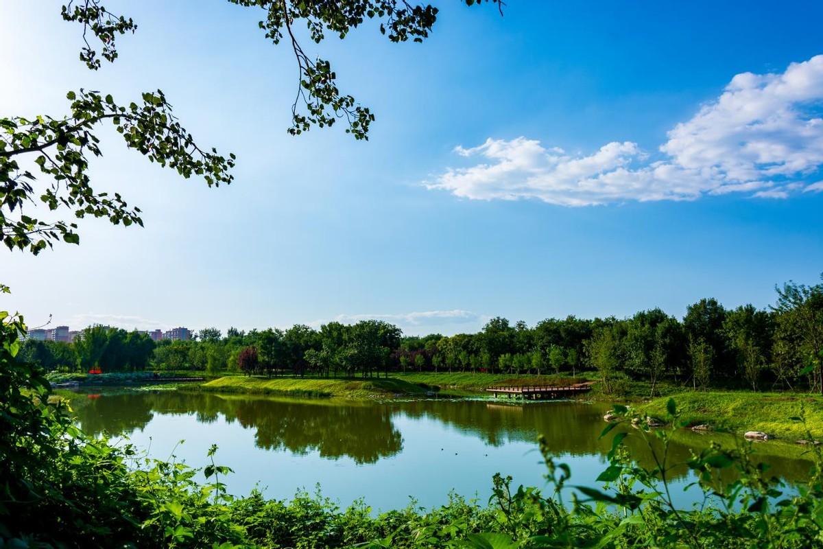 聚焦“两会”｜优化提升南中轴沿线环境品质 明年丰台计划建设南苑森林湿地公园1700亩