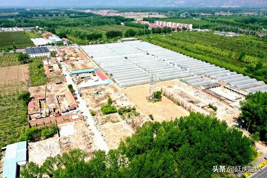 创建基本无违建区丨延庆区延庆镇再拆违建近1.2万平方米