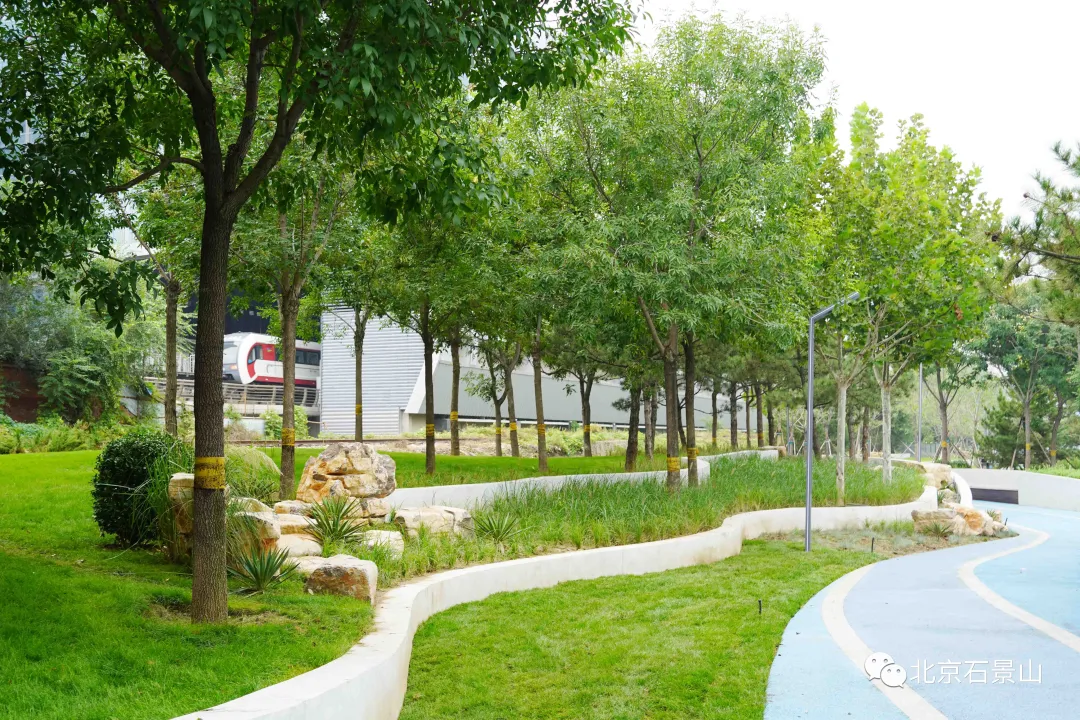 开窗见景、出门见绿！阜石路沿线绿化景观精美亮相！