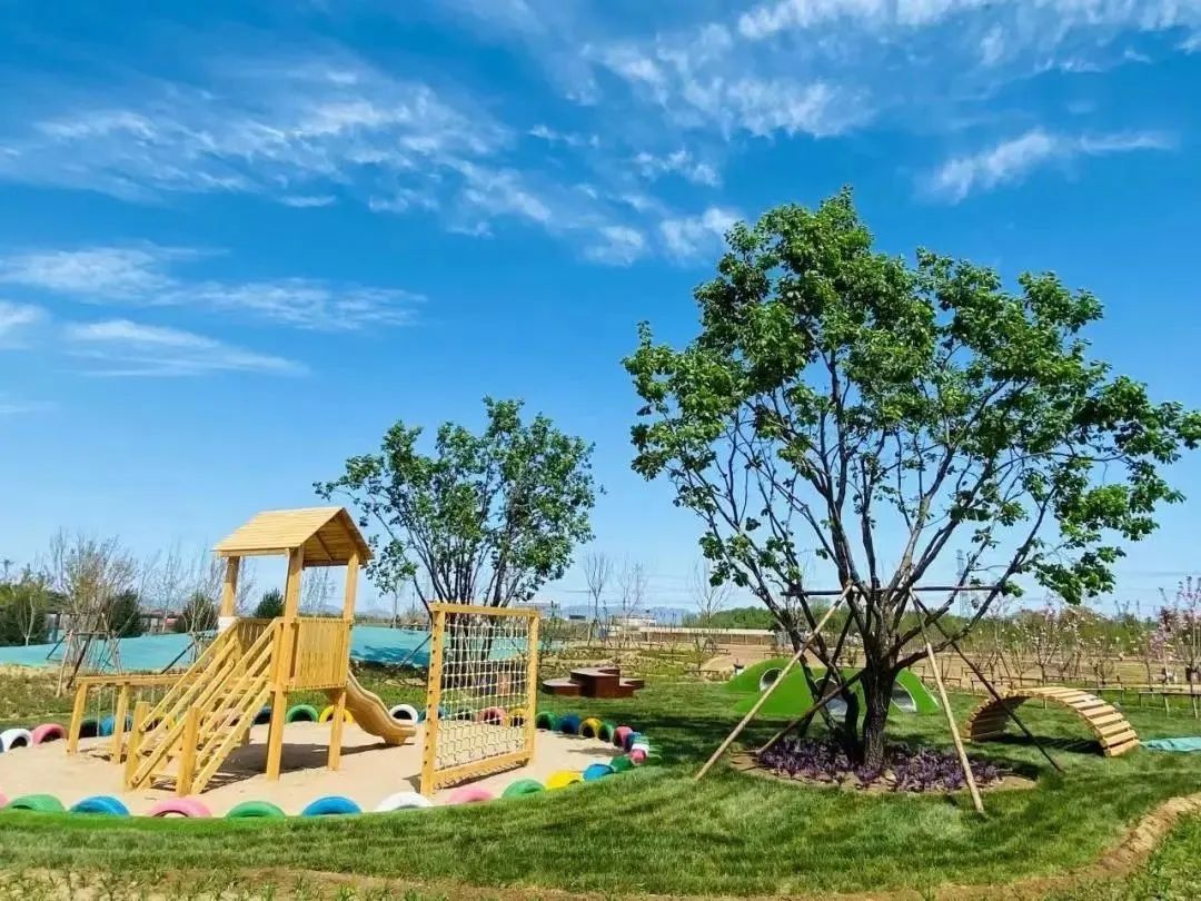 这个蔬艺园，成为推动村庄产业发展的新亮点