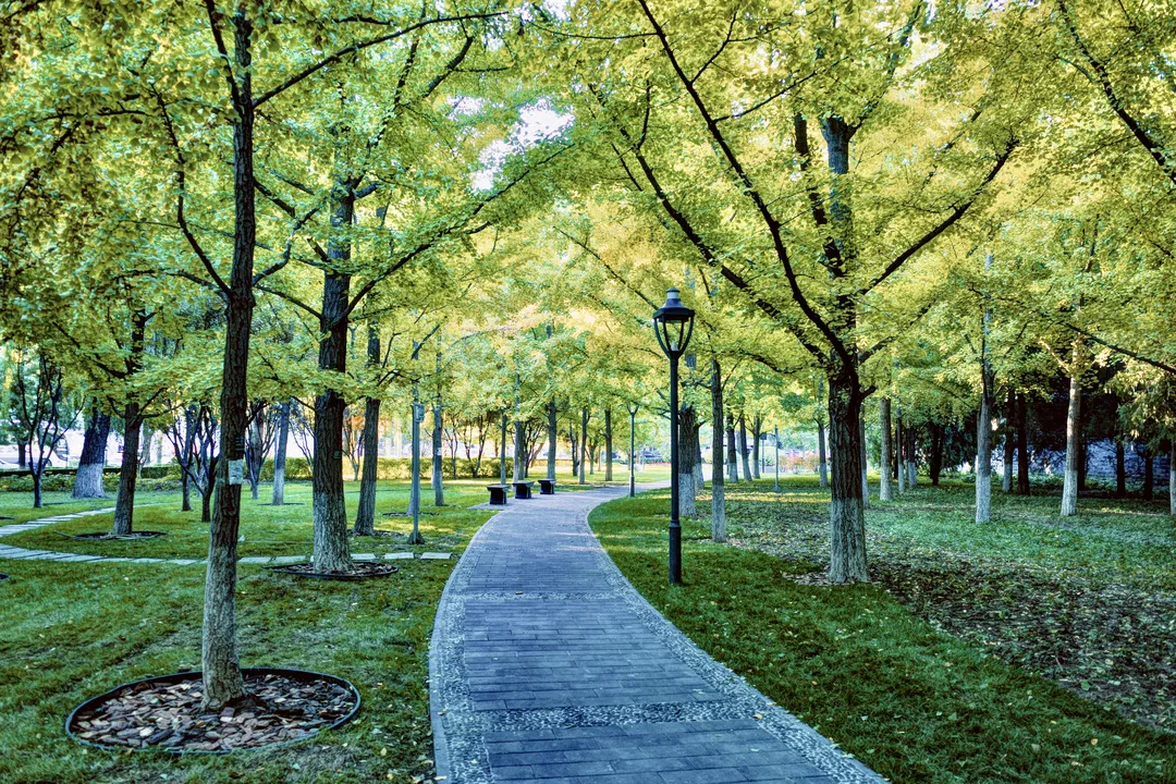 多图实拍！地坛园外园重装开园，打造全龄友好社区公园