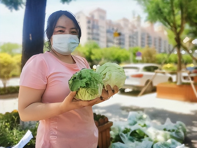 国企+市民，农户2万棵生菜2天卖完