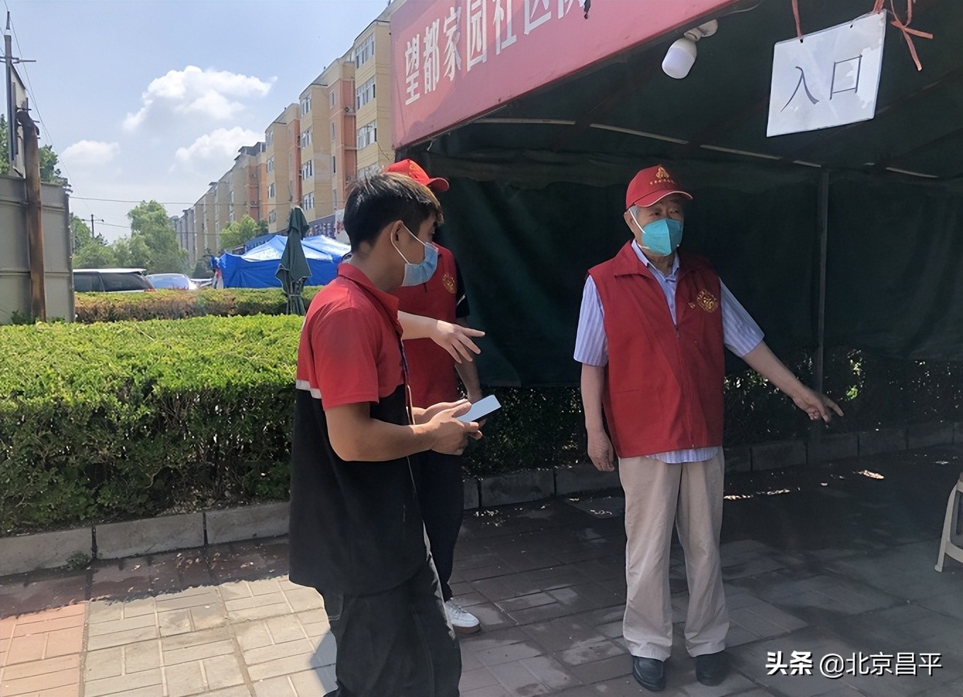 “爸，我和你一起！”北七家这对抗疫“父子兵”好样的