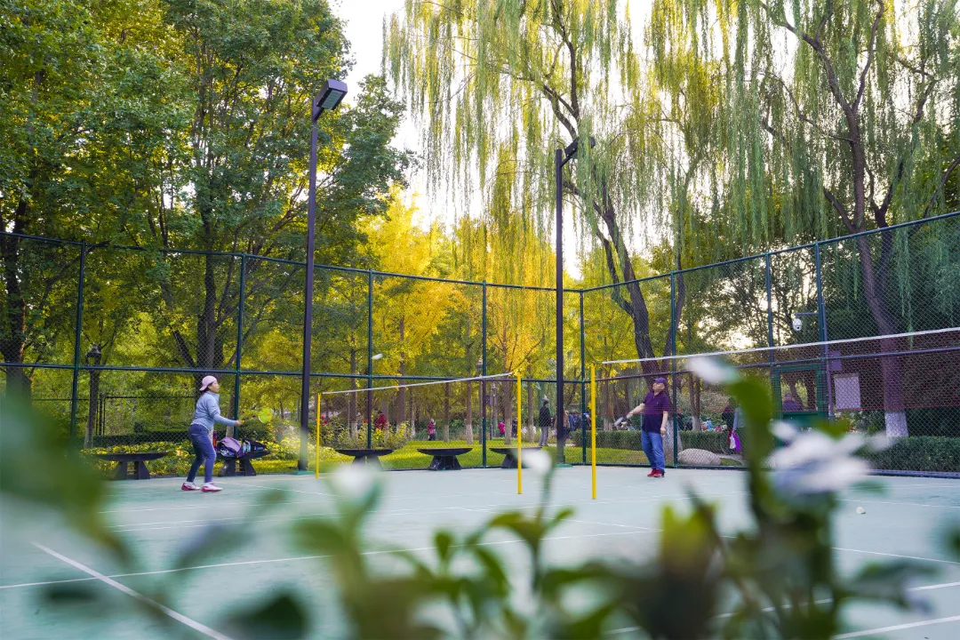 多图实拍！地坛园外园重装开园，打造全龄友好社区公园