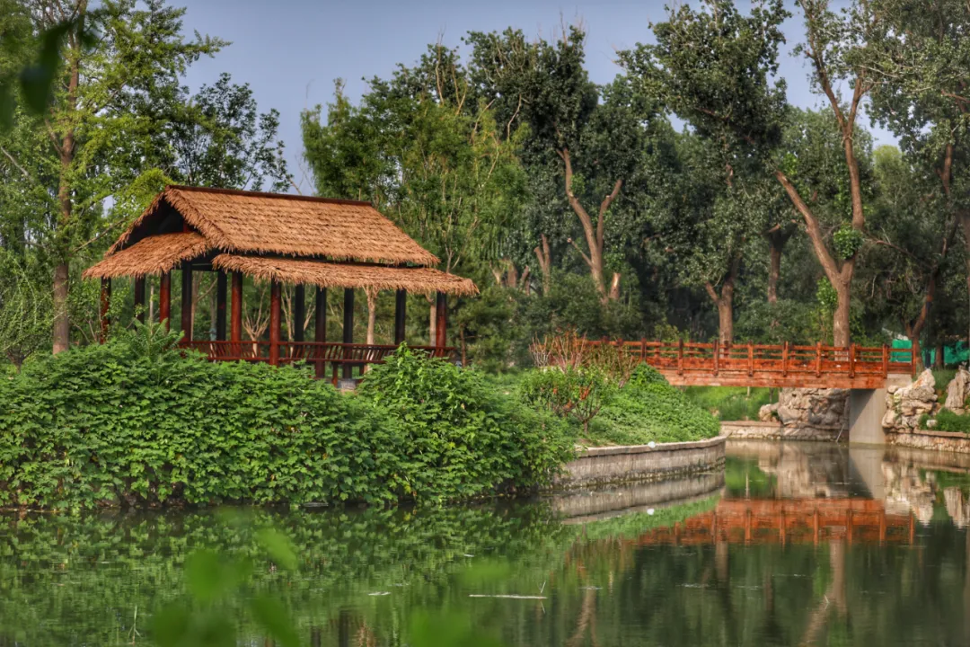 摩天轮回来了！龙潭中湖公园今天开园，免费！