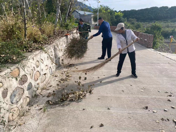 密云区新城子镇开展“全民参与、创城有我”周末大扫除活动
