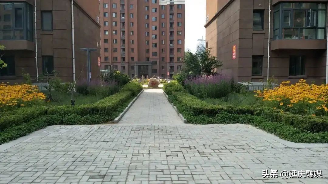 我为群众办实事丨延庆香水园街道和润社区：地上停车有秩序 地下停车暖民心