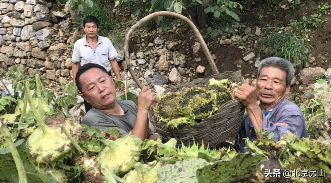 档案见证小康路，回顾房山脱低攻坚路上的光辉事迹！