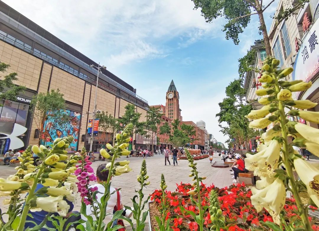 北京东城：优化营商环境跑出“加速度”，激发高质量发展“新动能”