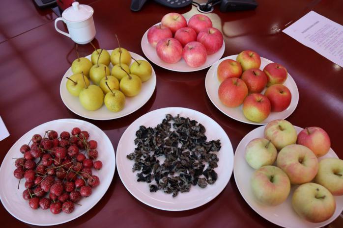 大城子镇与河南寨镇联合召开农产品销售协作洽商会