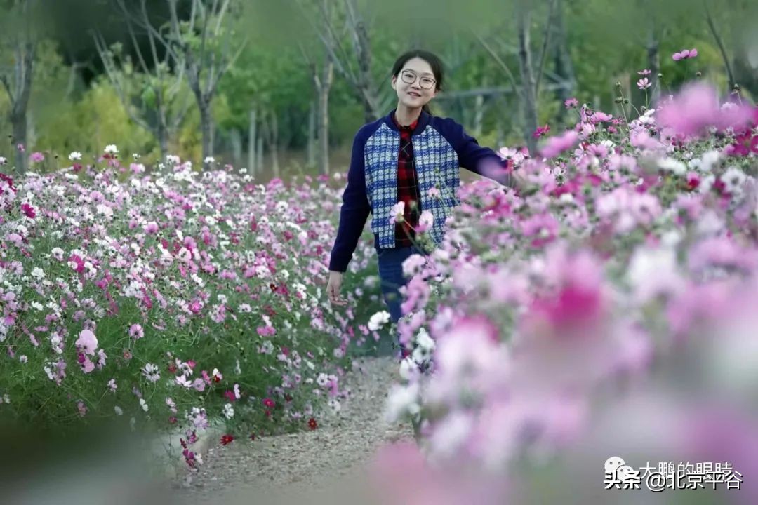 打造农村综合体！这个秋天，遇见平谷“大美周庄”