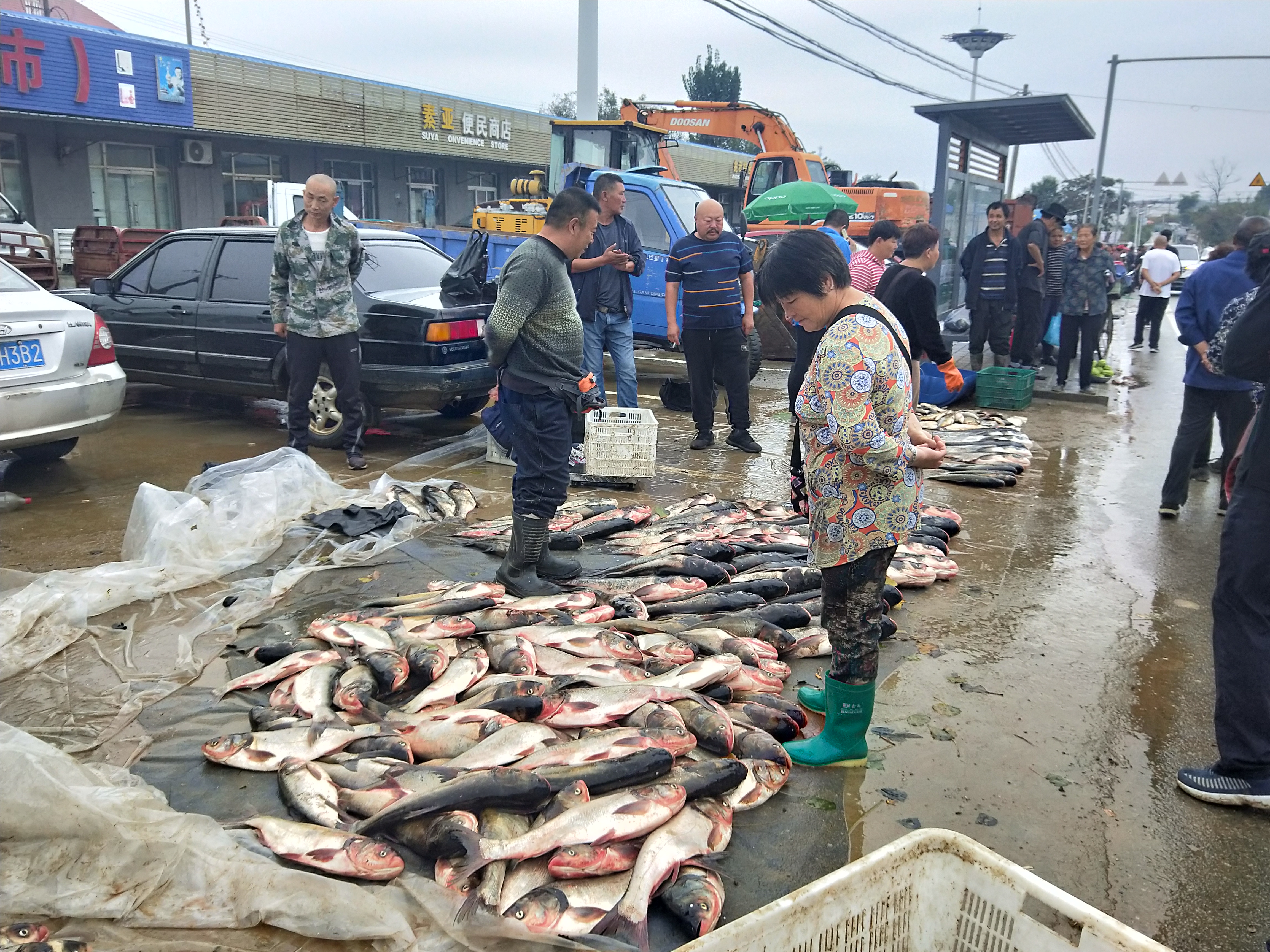 不老屯镇“鱼跃人乐” 迎来“开渔季”